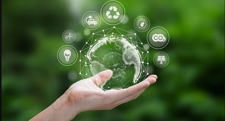 Going Green: Environmental Sustainability Tips